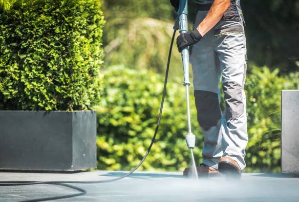 Best Sidewalk and Walkway Cleaning  in Shallowater, TX