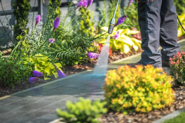 Reliable Shallowater, TX  Pressure Washing Services Solutions